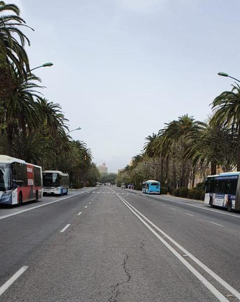 Parque_01
