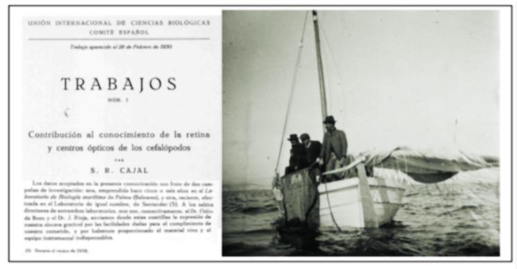 Trabajos